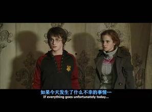 哈利波特最新衣服爆料,时尚魔法，揭秘最新服饰潮流